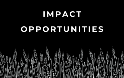 Impact opportunities