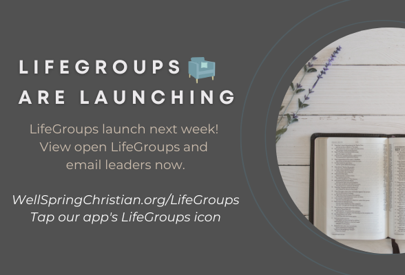 lifegroups are launching web (3)