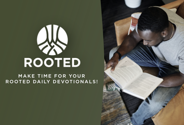 rooted devo web 2
